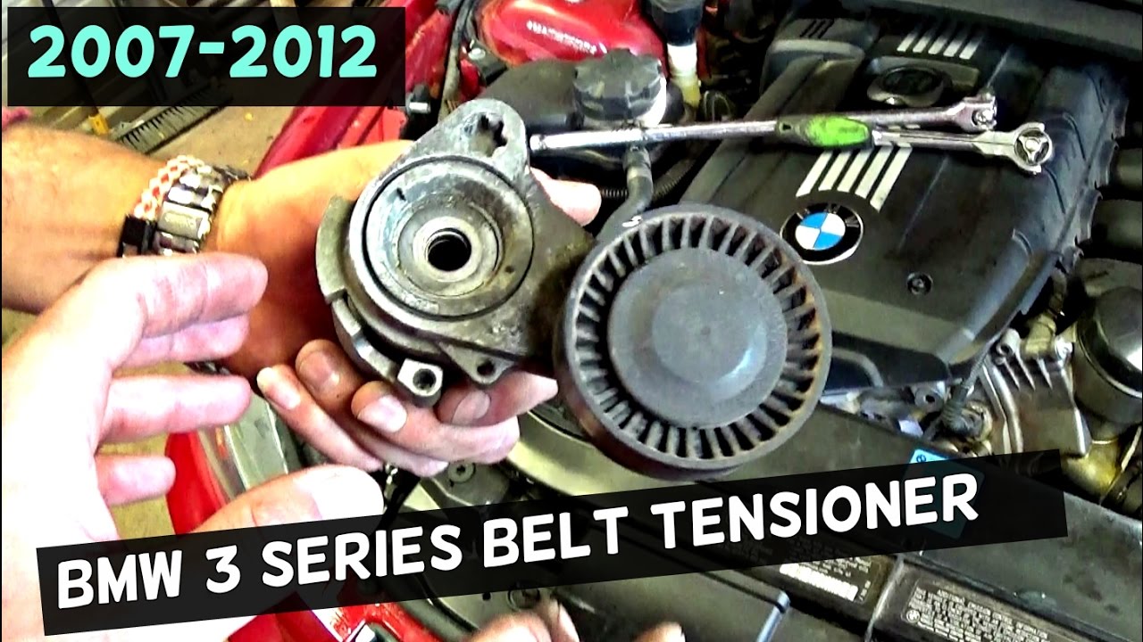 See C2193 repair manual